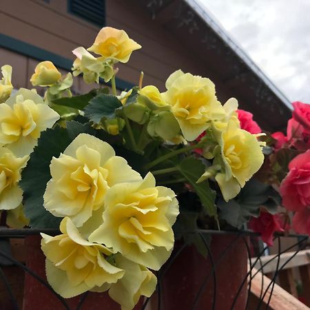 A Hyde Away Inn B&B 톡 외부 사진