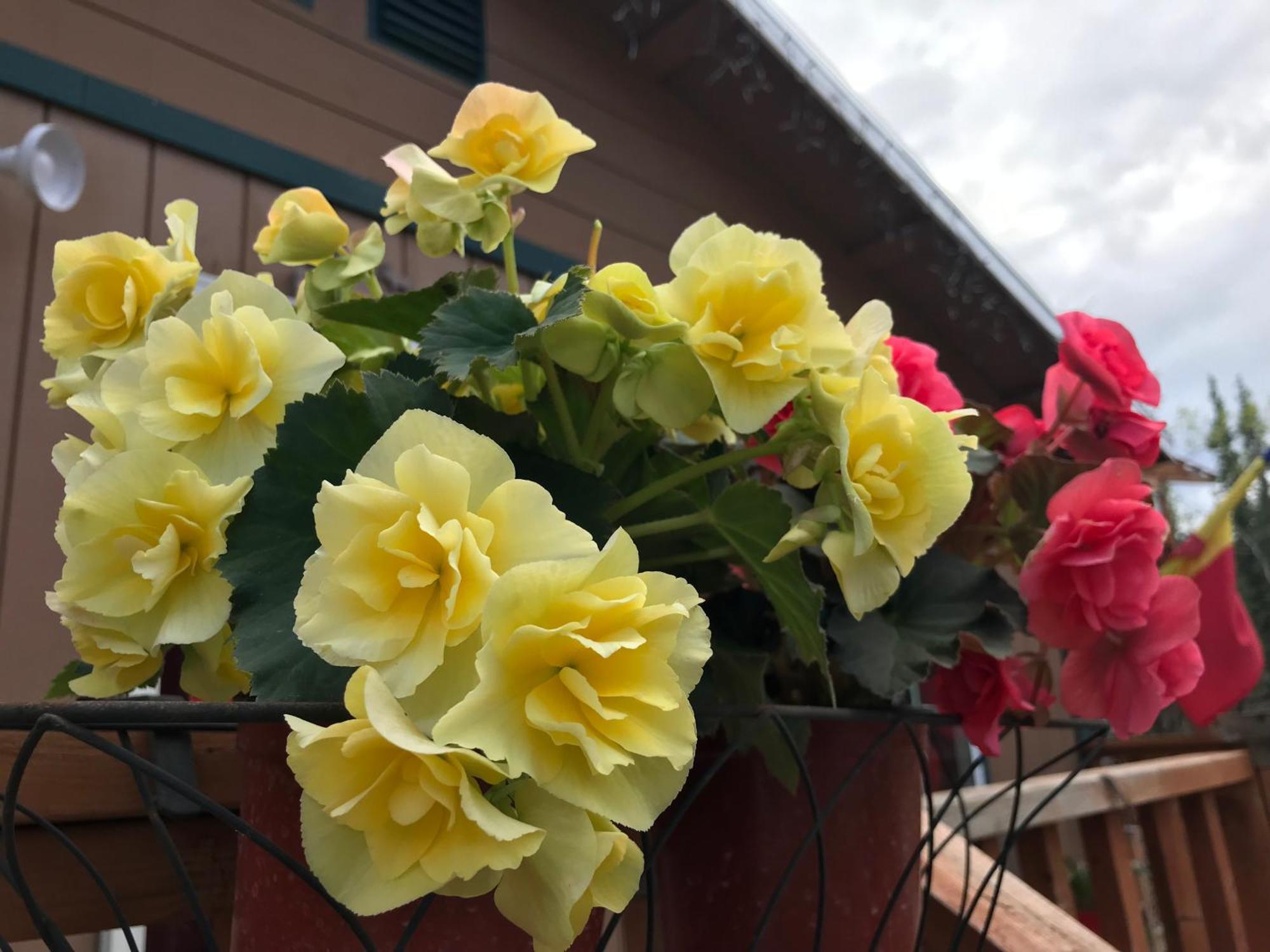 A Hyde Away Inn B&B 톡 외부 사진